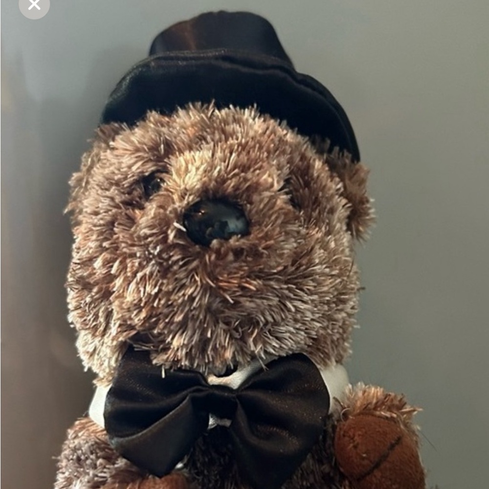 Punxsutawney Phil baby plush.  TY 2007